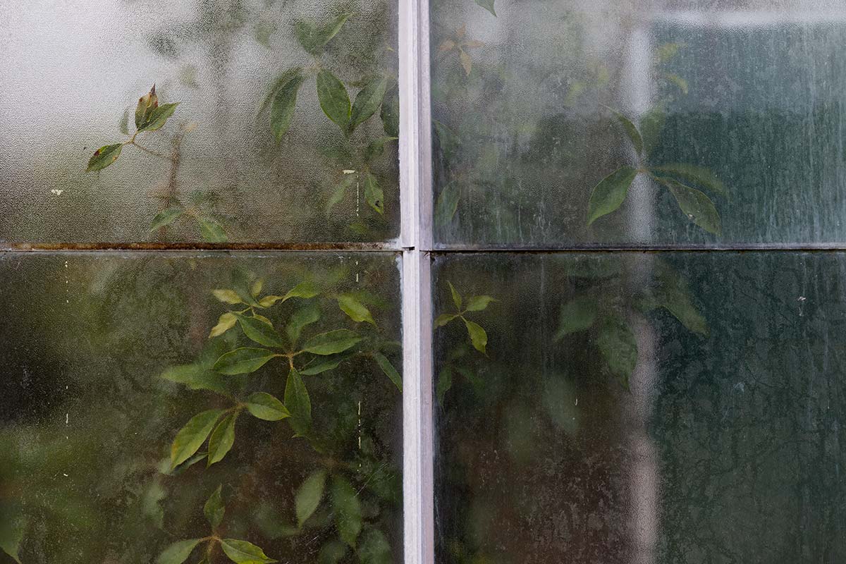 The greenhouse by Roda