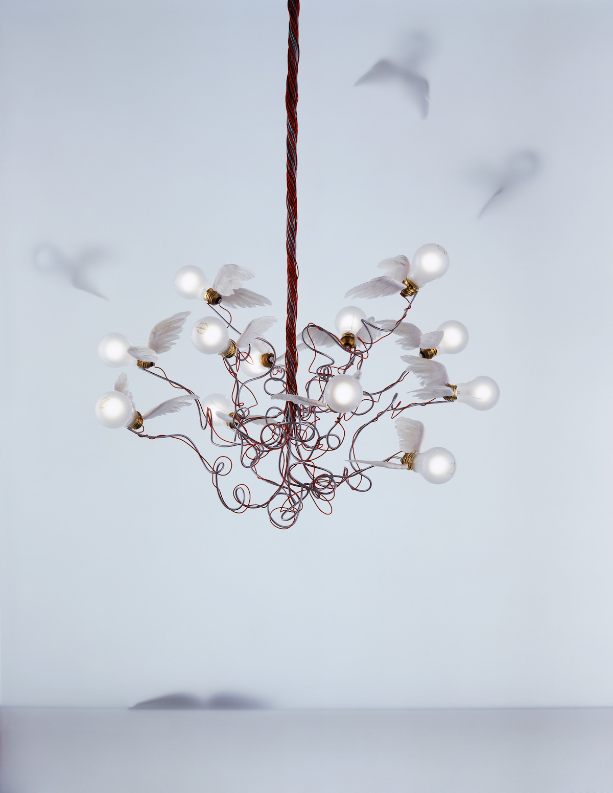 Birdie_1