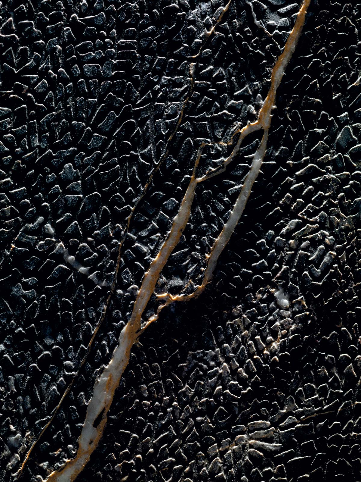 Metamorfosi Port Laurent, Ipogeo collection by Margraf