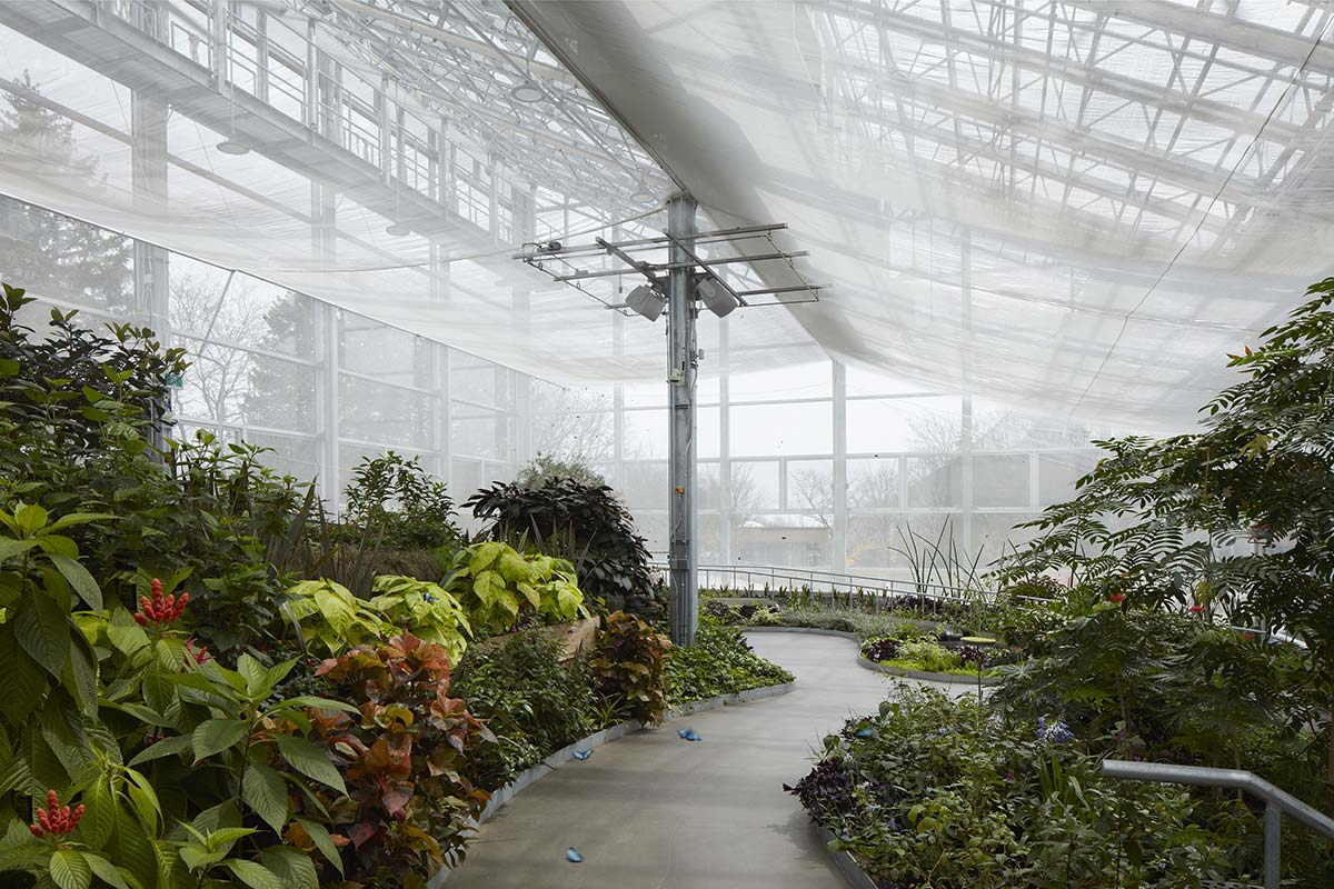 Insectarium, Montreal, design Kuehn Malvezzi