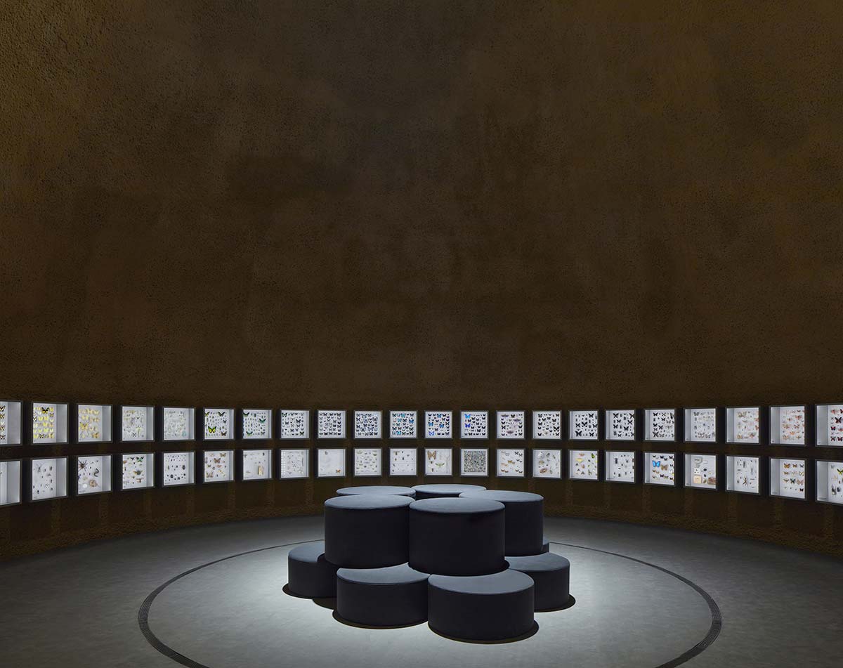 Insectarium, Montreal, design Kuehn Malvezzi